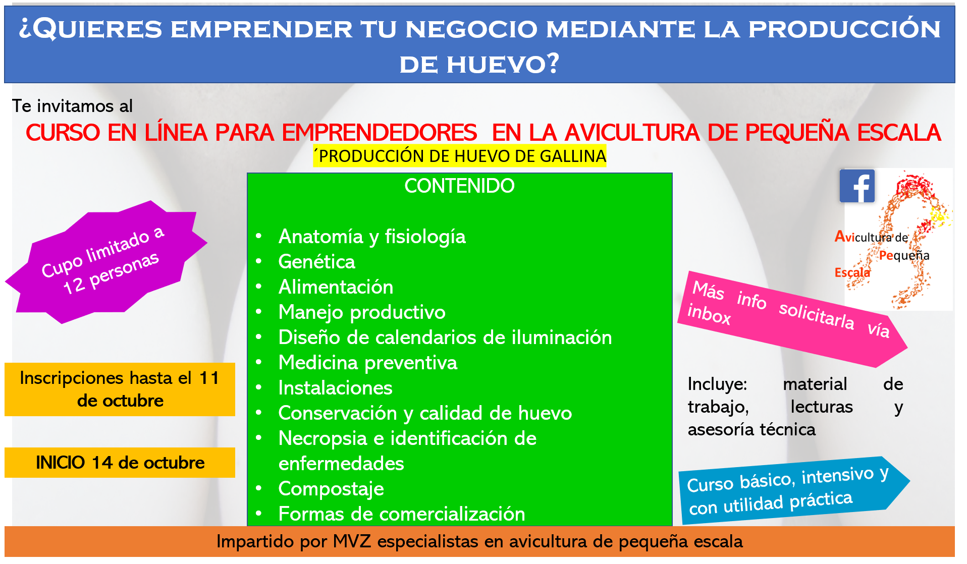 Curso en línea-Producción de huevo